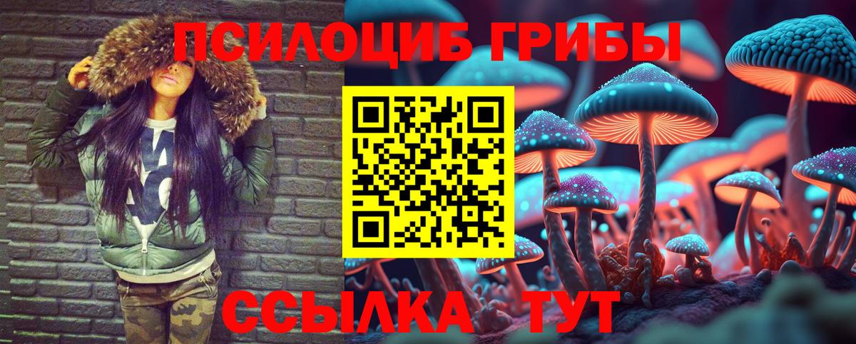 Псилоцибиновые грибы ЛСД  Вход с VPN  Псилоцибиновые грибы GOLDEN TEACHER  Ливны 