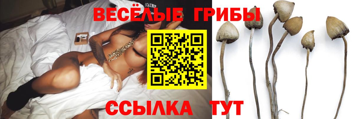 Галлюциногенные грибы Magic Shrooms Ливны